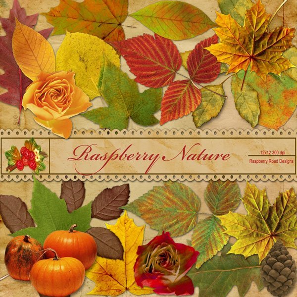 Raspberry Nature